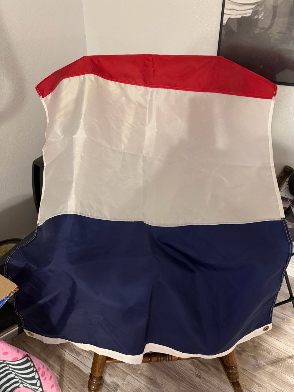 Flag of France